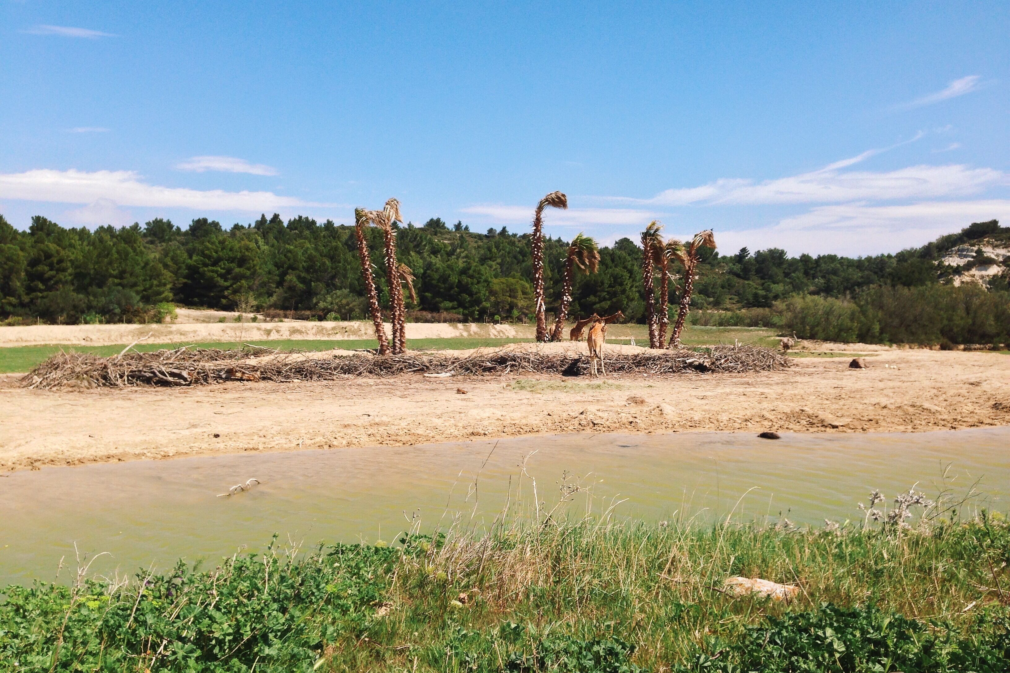 Processed with VSCOcam with k2 preset