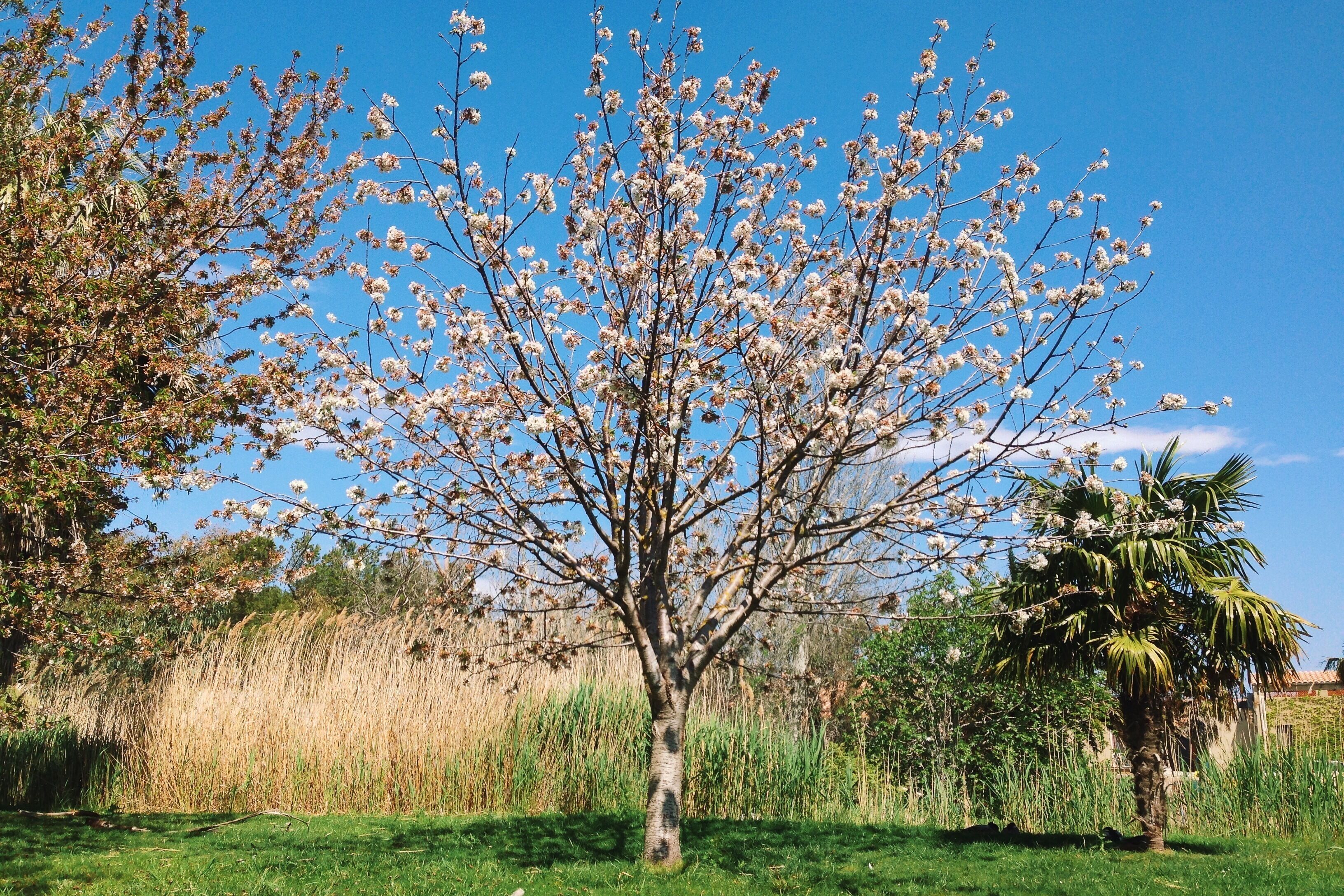 Processed with VSCOcam with k2 preset