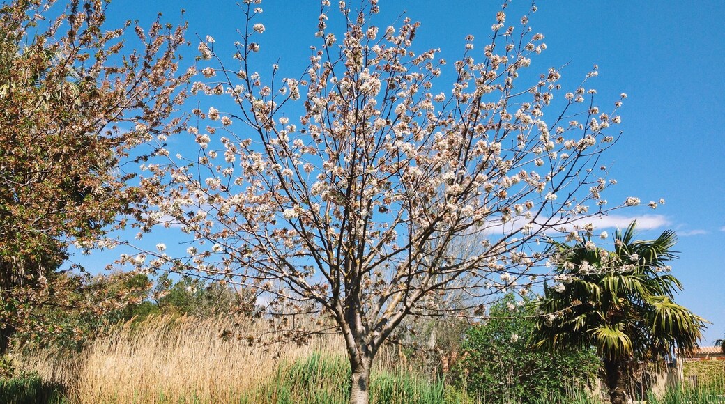 Processed with VSCOcam with k2 preset