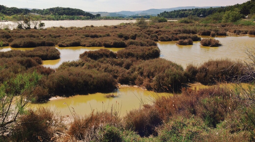 Processed with VSCOcam with k2 preset