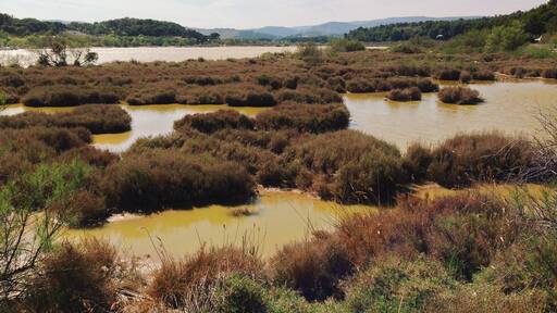 Processed with VSCOcam with k2 preset