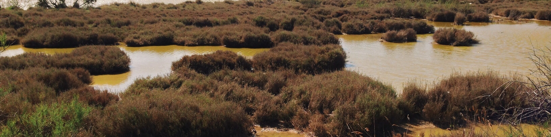 Processed with VSCOcam with k2 preset