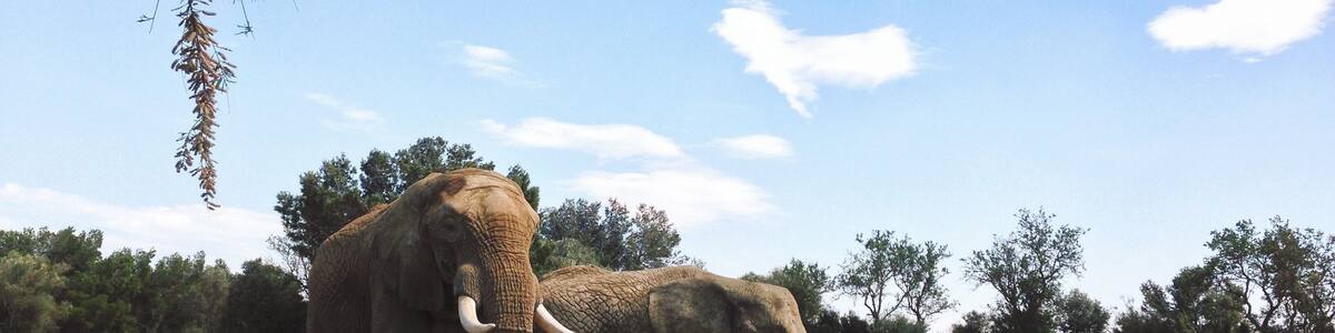 Processed with VSCOcam with k2 preset