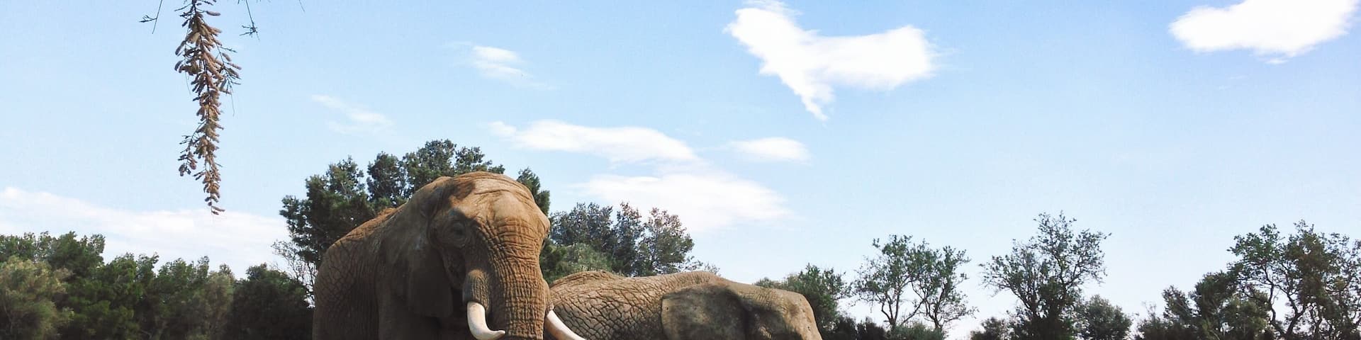 Processed with VSCOcam with k2 preset