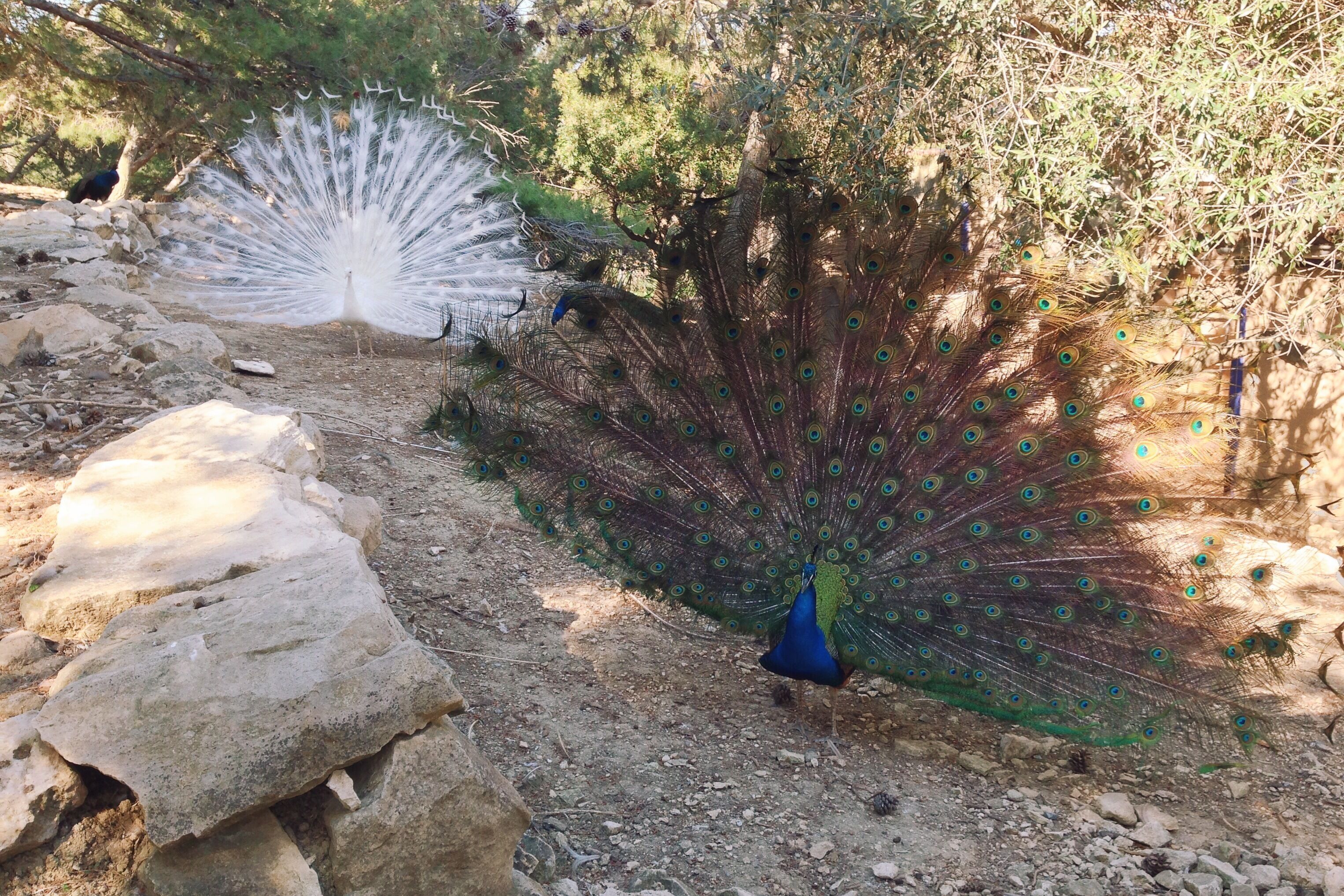 Processed with VSCOcam with k2 preset