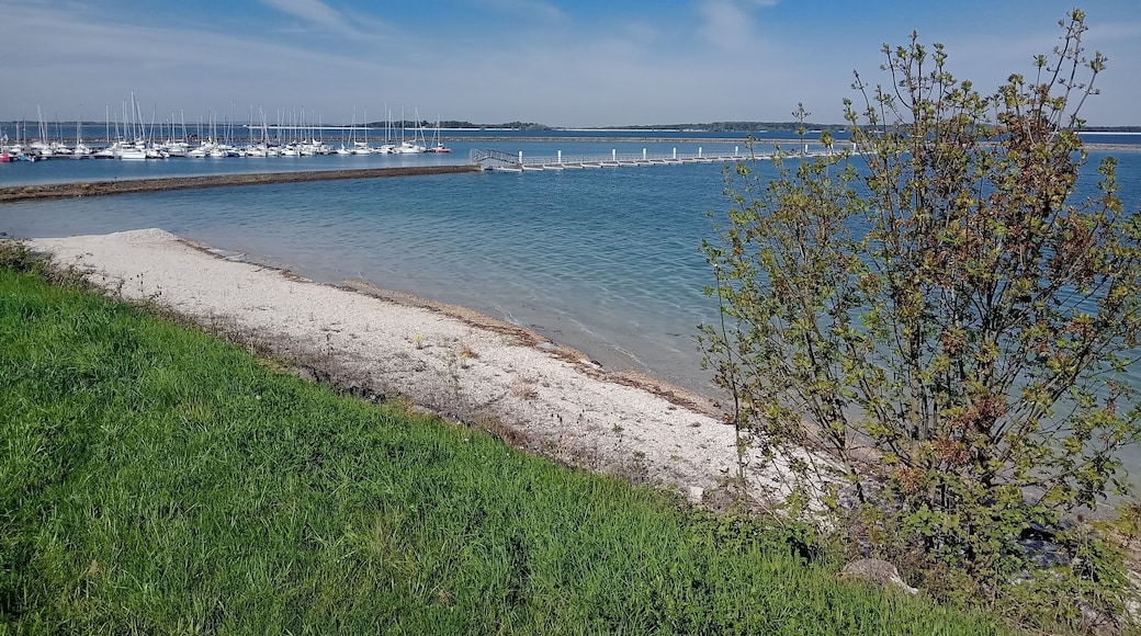 Plage et lac d'Orient, Mesnil-Saint-Père, Aube, Région Grand Est, France, Parc Naturel de la Forêt d'Orient