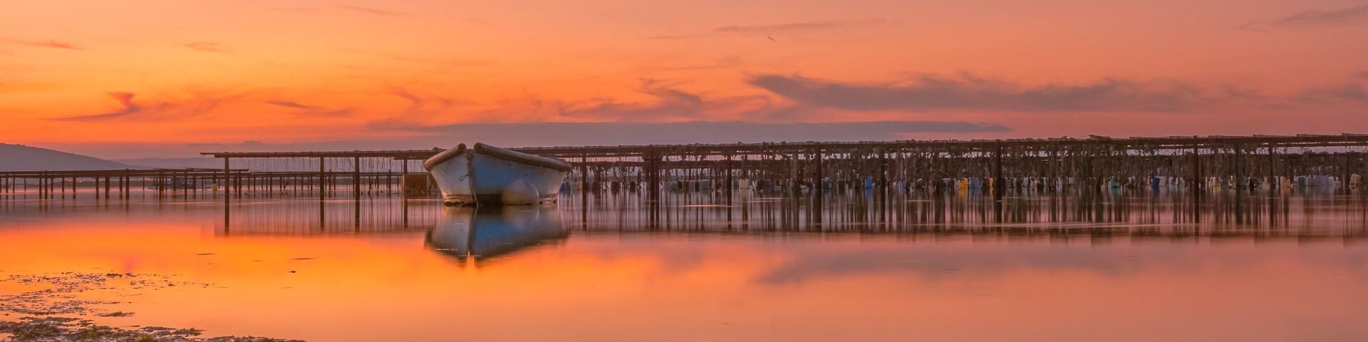Vue d'un coucher de soleil sur les parcs à moules d'un étang de la Camargue, réserve naturelle protégée