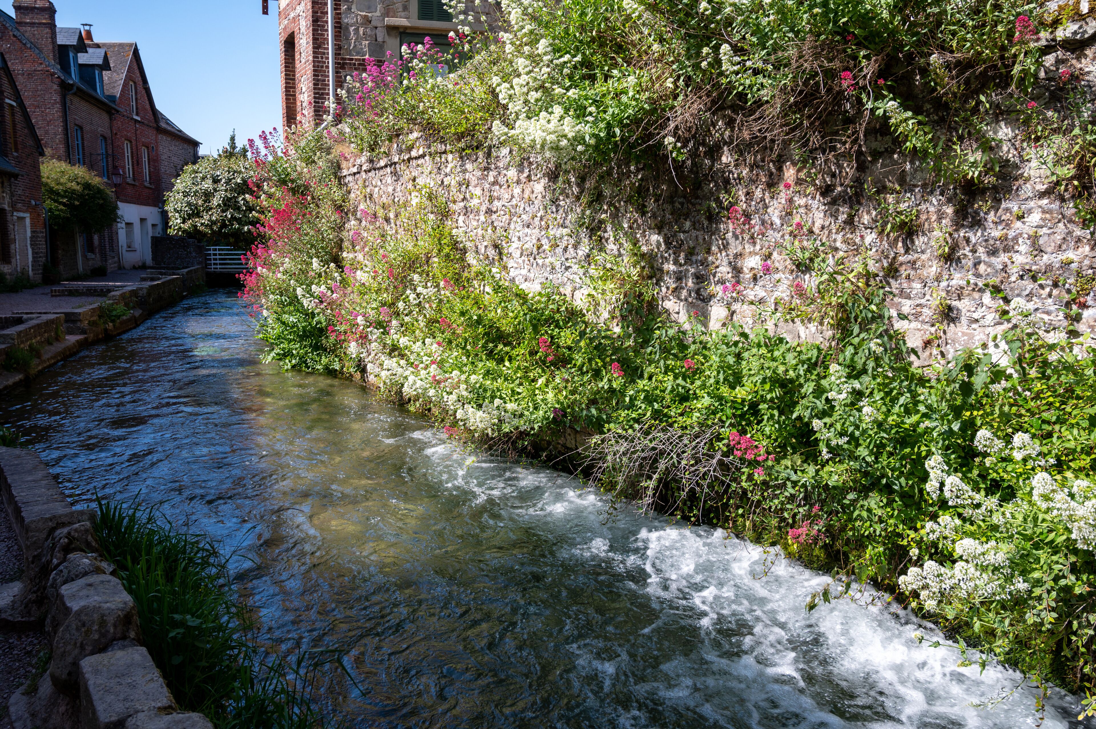 A narrow river flowing through a historic town with brick buildings and a stone wall covered in flowering plants.