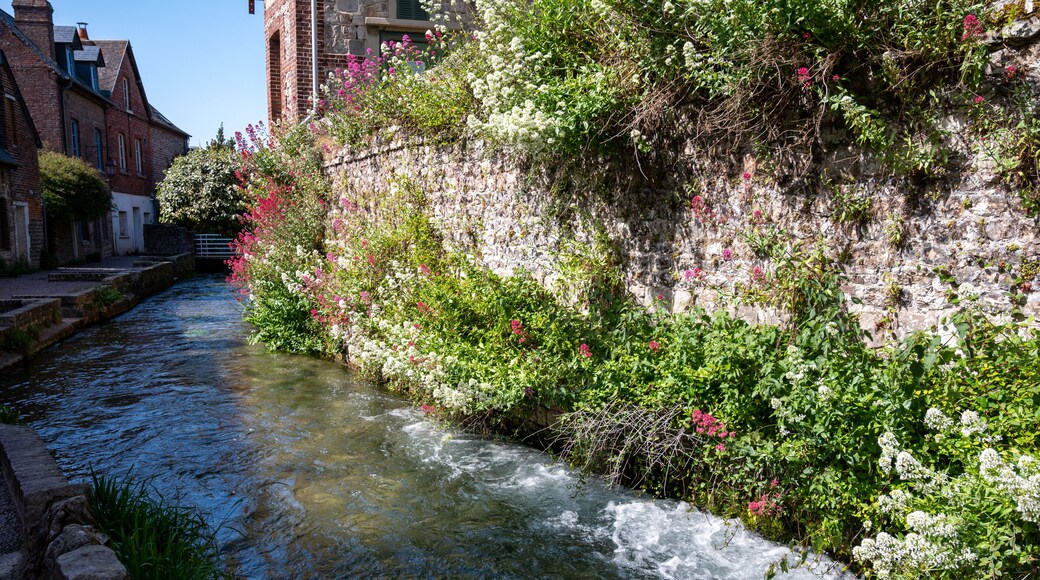 Ein schmaler Fluss, der durch eine historische Stadt mit BacksteingebĂ€uden und einer mit blĂŒhenden Pflanzen bewachsenen Steinmauer flieĂt.