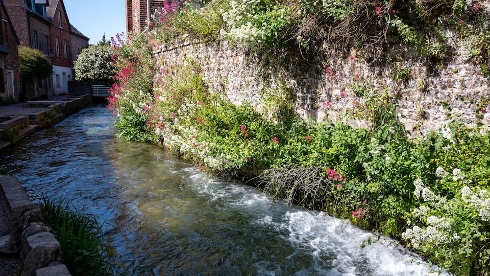 A narrow river flowing through a historic town with brick buildings and a stone wall covered in flowering plants.