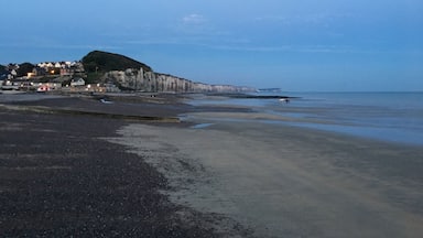 Magnifique un des plus beaux villages de France
