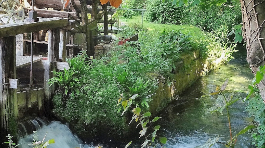 This is the shortest sea-bound river in France (1.149 kilometres / 0.713 miles): La Veules. You can take a beautiful and romantic walk along its banks. #LocalSecrets #Trovember