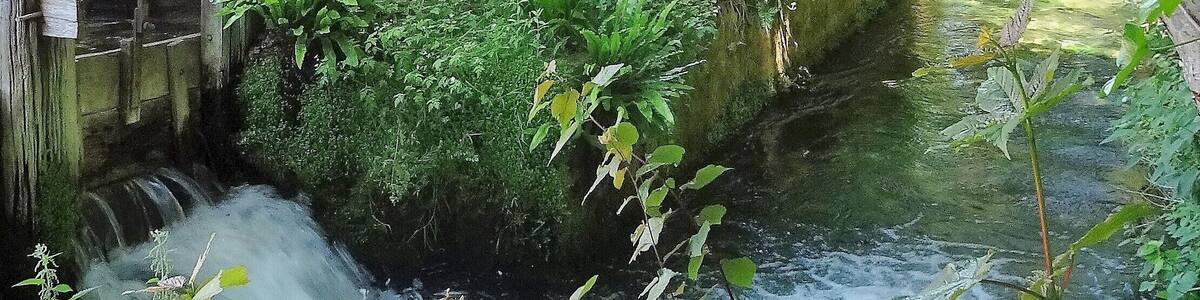 This is the shortest sea-bound river in France (1.149 kilometres / 0.713 miles): La Veules. You can take a beautiful and romantic walk along its banks. #LocalSecrets #Trovember