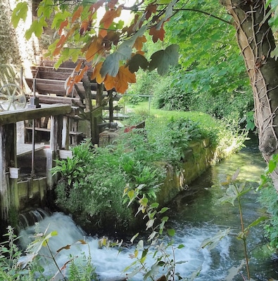 This is the shortest sea-bound river in France (1.149 kilometres / 0.713 miles): La Veules. You can take a beautiful and romantic walk along its banks. #LocalSecrets #Trovember