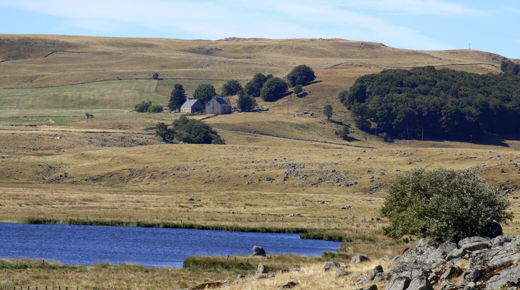 pont sur le plateau de l'Aubrac