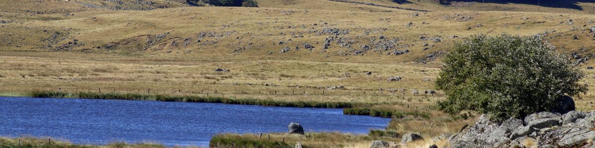 pont sur le plateau de l'Aubrac
