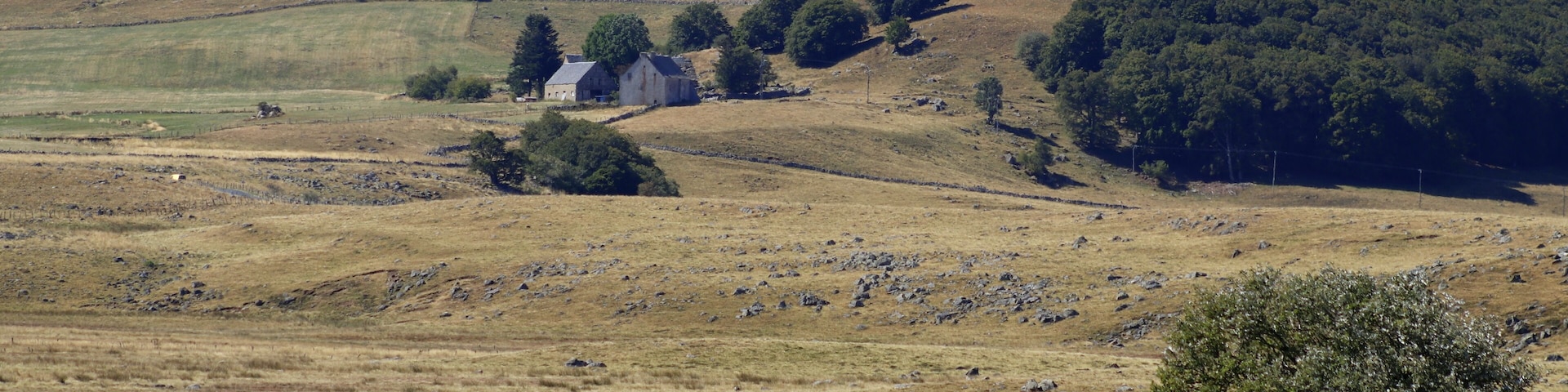 pont sur le plateau de l'Aubrac