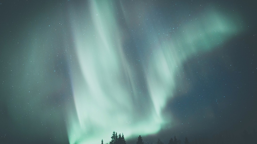 We had a 10 day stay in Levi and it had got to day 8 without seeing the lights. We had just began to give up on the prospect of seeing them and thought we might as well go out for the second to last night. And there it was in all its glory. Words let alone photos can't show how beautiful this night really was. You have to go for yourself! #BvSApplication