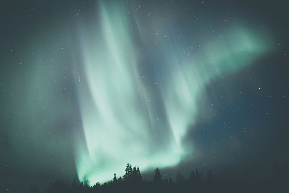 Auroras boreales sobre un paisaje boscoso.