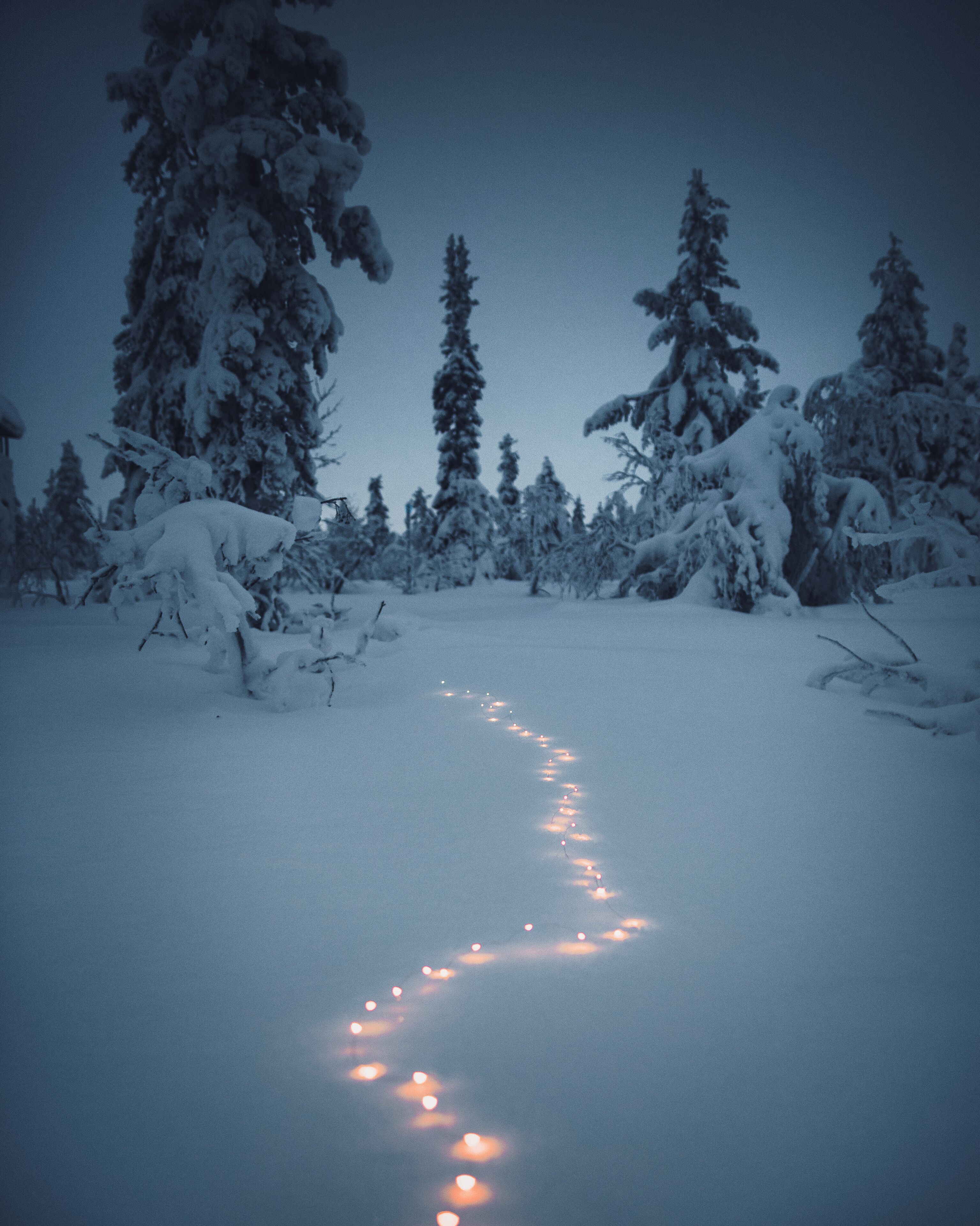 Lumihuntuinen metsäpolku, jonka varrella olevat puut ovat lumen peitossa.