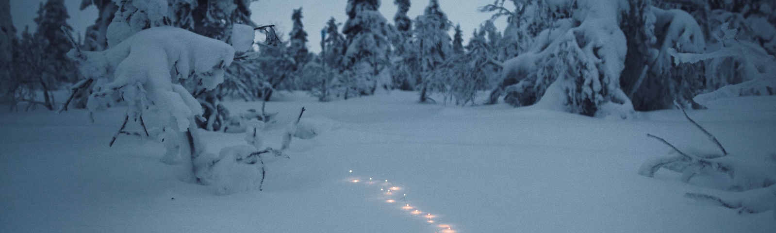 Un sendero nevado en un bosque, con árboles cubiertos de nieve.
