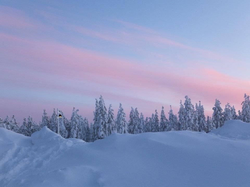Beautiful Arctic Circle scenery - snow covered pine trees and pink clouds in the clear blue sky.  The trip to Lapland was an experience of a life time. 

#BestOf5 #WinterWonders