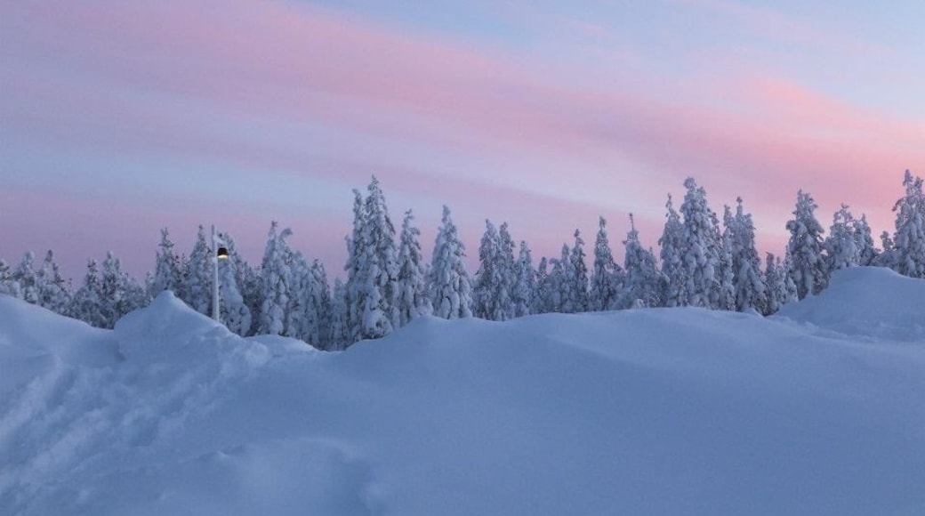 Beautiful Arctic Circle scenery - snow covered pine trees and pink clouds in the clear blue sky. The trip to Lapland was an experience of a life time.
#BestOf5 #WinterWonders