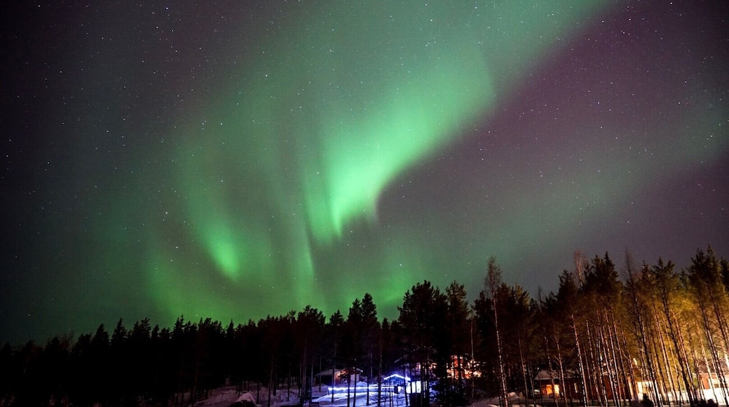 Northern lights in Lapland. Waiting on a frozen lake in -10c and below for them to appear, then like magic they dance across the sky like fairy dust!
#northernlights #finland #lapland #winterwonderland