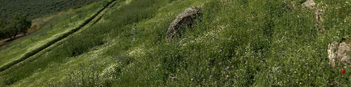 Vista del embalse de Giribaile, en Vilches.