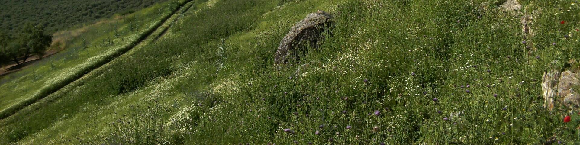 Vista del embalse de Giribaile, en Vilches.