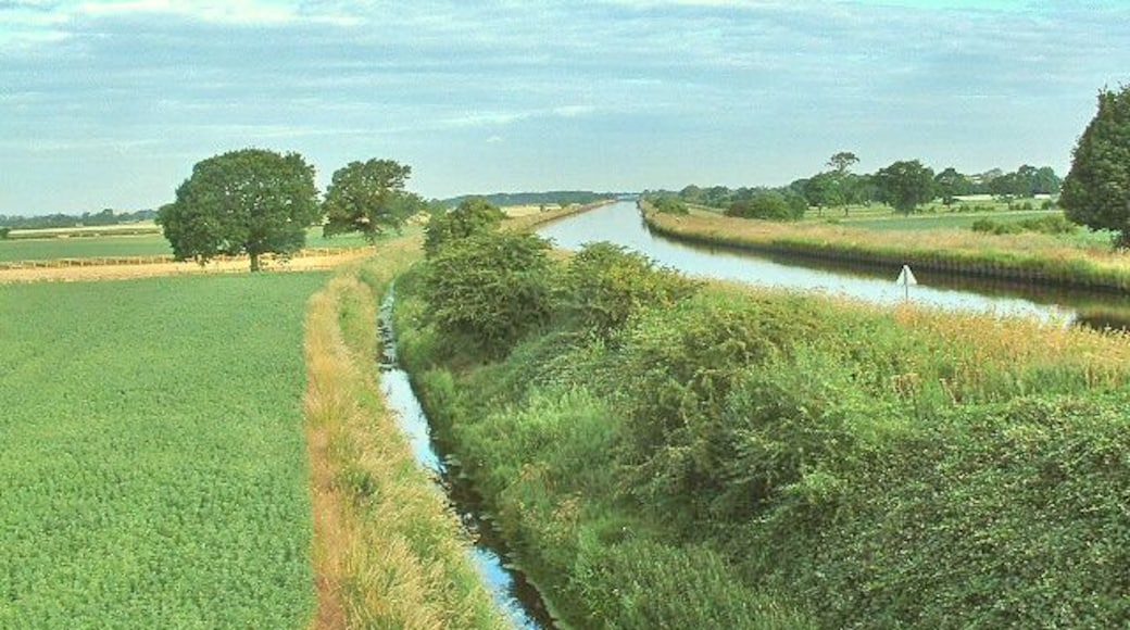 Pollington, East Riding of Yorkshire, England. Aire and Calder Canal.