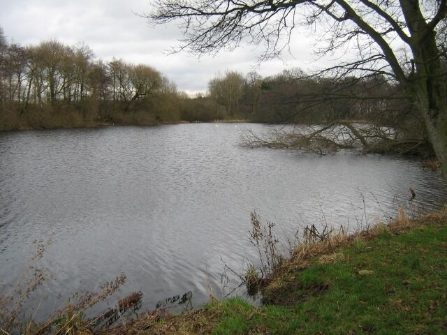 Ell pond ? Looking across the pond in the direction of 'Ell Pond Plantation' - does this mean the pond is Ell Pond ?
