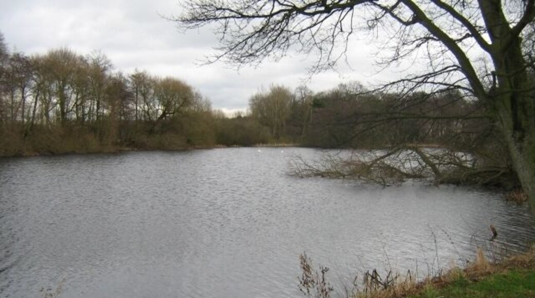 Ell pond ? Looking across the pond in the direction of 'Ell Pond Plantation' - does this mean the pond is Ell Pond ?