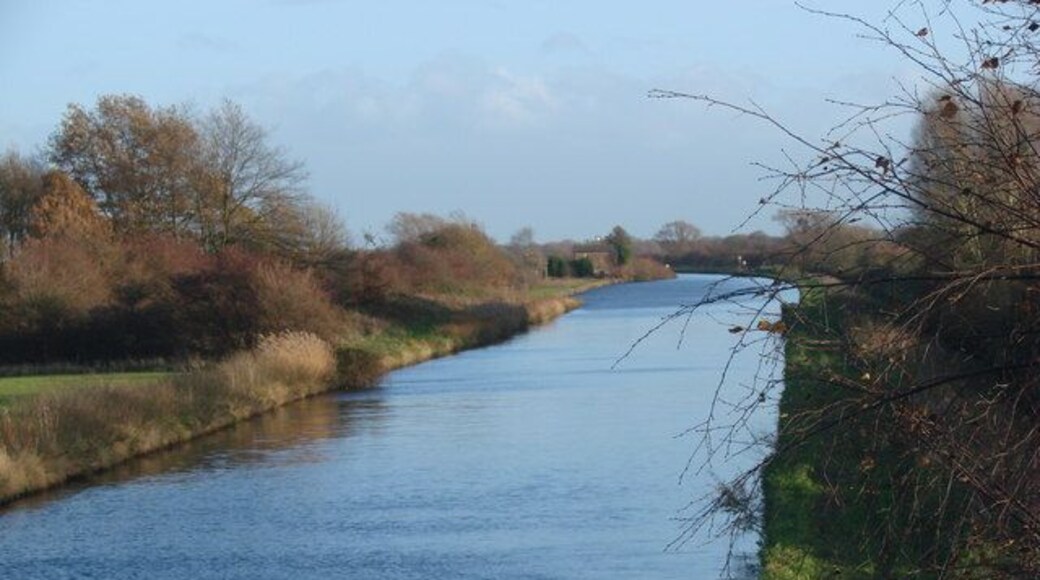 View from Crow Croft Bridge, looking eastwards. Pollington, East Riding of Yorkshire, England.