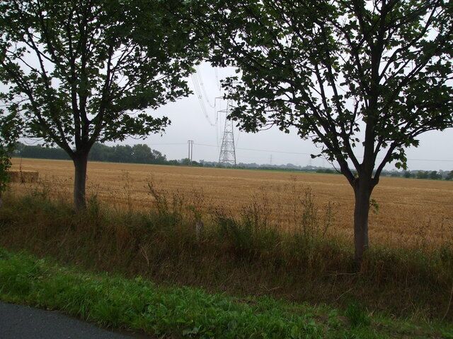 Fields and Pylons