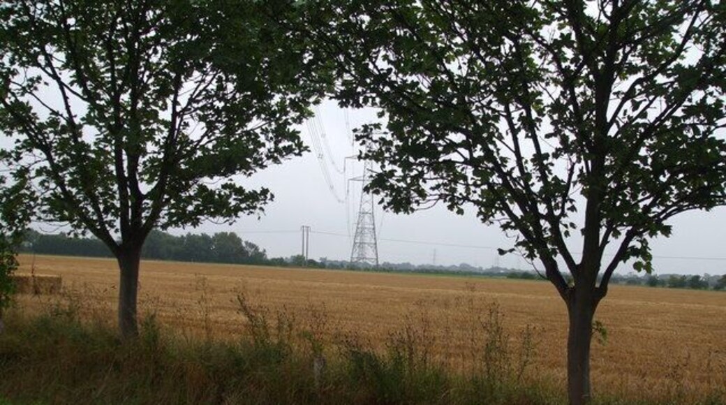 Fields and Pylons