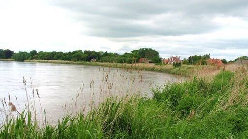 Riverbank at Saltmarshe, East Riding of Yorkshire, England. The riverbank to the east of the village, taken from the Trans Pennine Trail footpath.