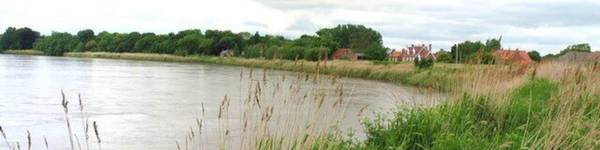 Riverbank at Saltmarshe, East Riding of Yorkshire, England. The riverbank to the east of the village, taken from the Trans Pennine Trail footpath.