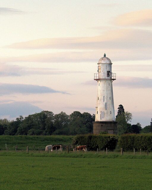 Whitgift lighthouse with cows in field, Whitgift, East Riding of Yorkshire, England.