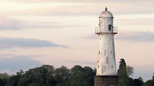 Whitgift lighthouse with cows in field, Whitgift, East Riding of Yorkshire, England.
