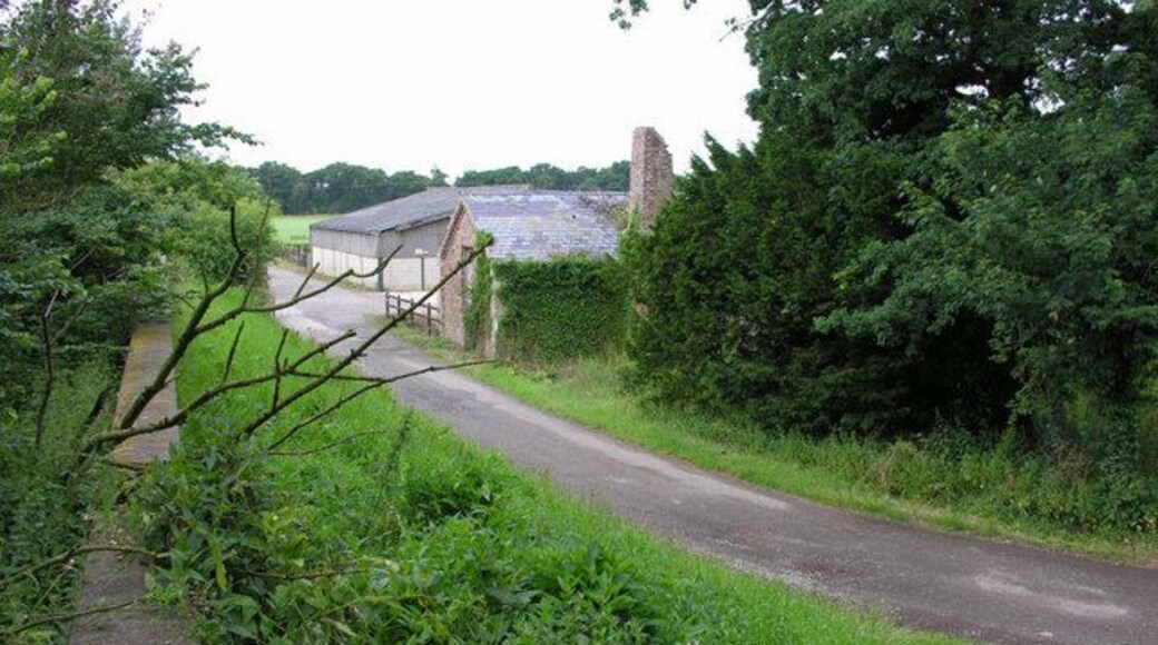 Public footpath west of Saltmarshe, East Riding of Yorkshire, England. The footpath heads westwards along this lane, after dropping down from the level of the floodbank.