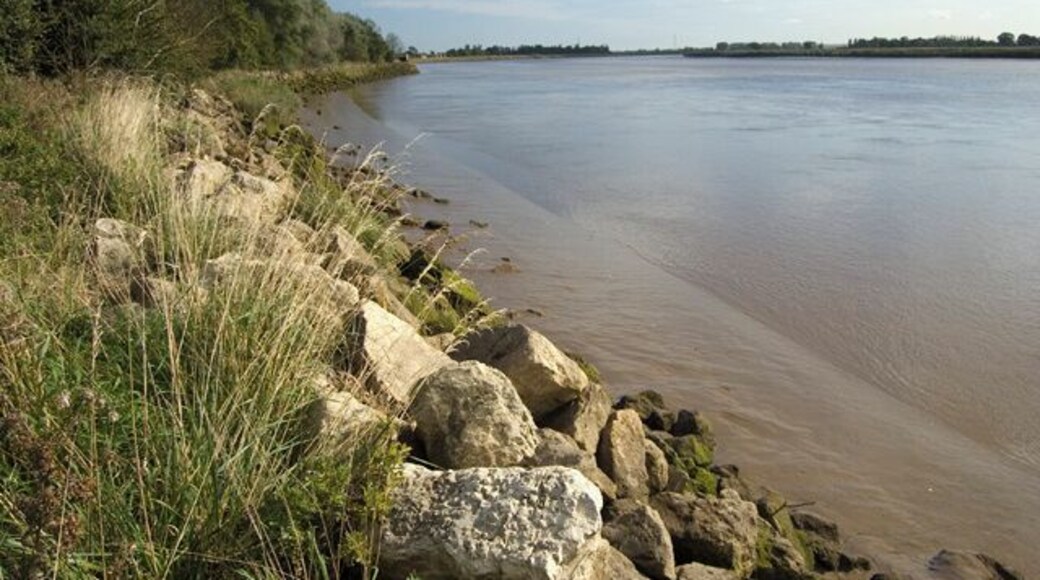 Ouse near Saltmarshe Hall, Saltmarshe, East Riding of Yorkshire, England. The river banks along the edge of Saltmarshe Park are protected by rock reinforcements as seen here.