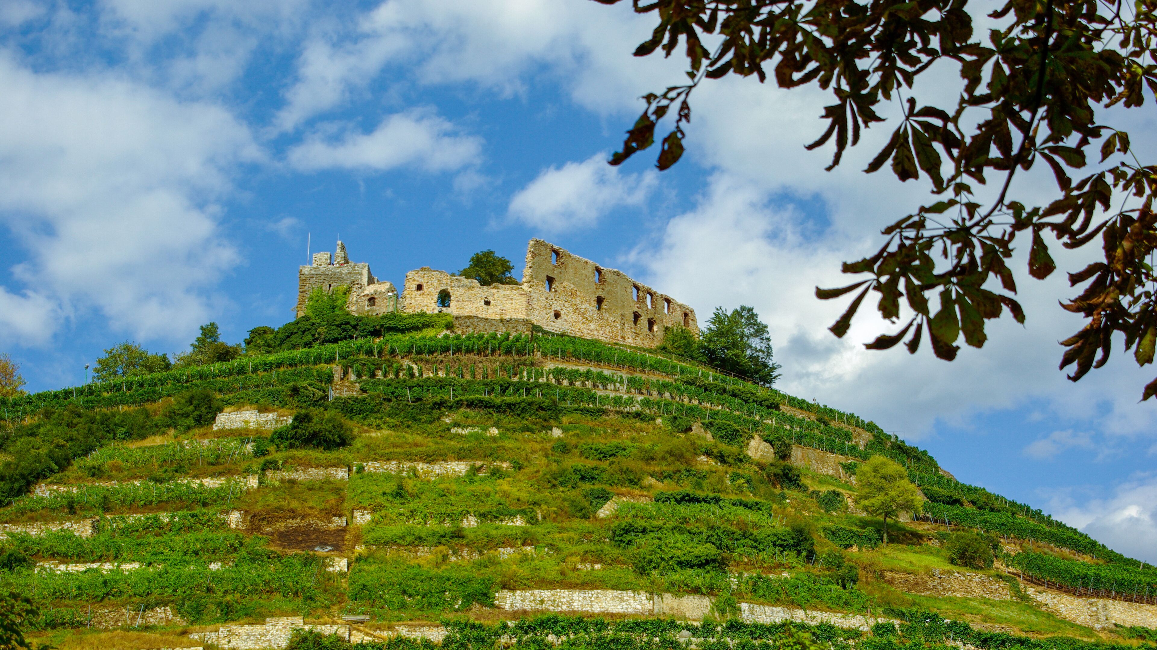 wo Faust weilte, die Burg der Stadt Staufen im Breisgau