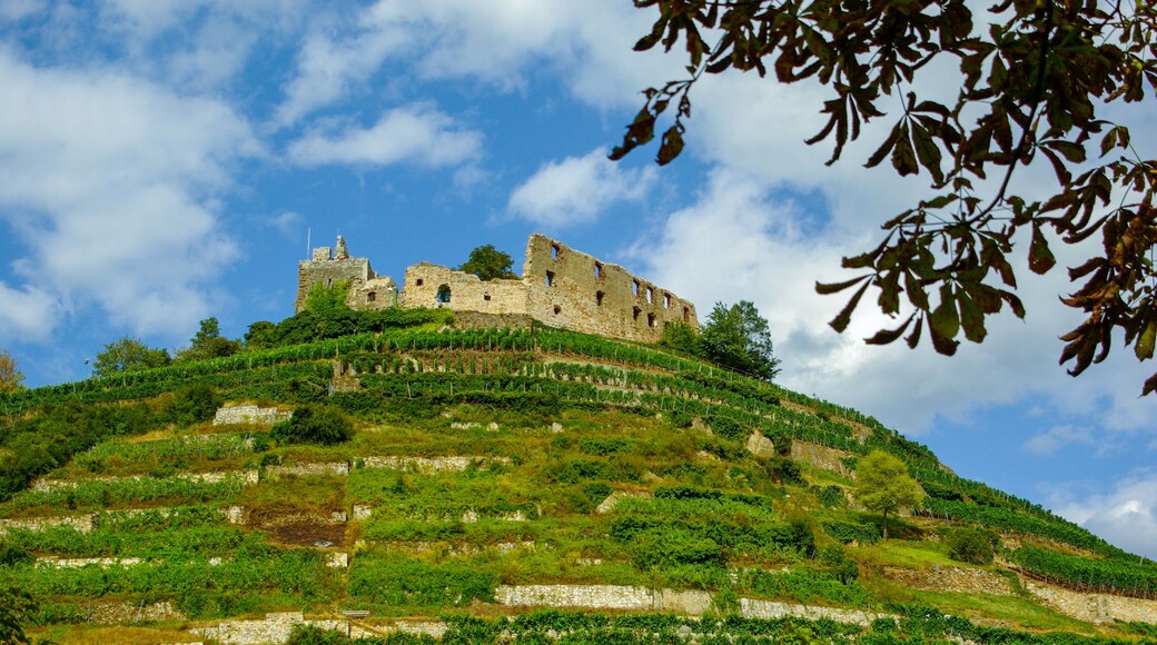 wo Faust weilte, die Burg der Stadt Staufen im Breisgau