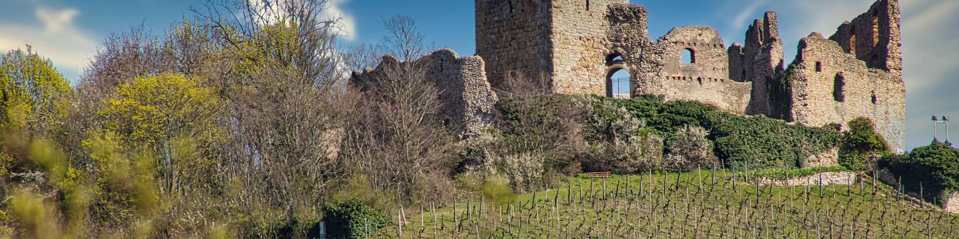 Verschiedene Blickwinkel auf die Burgruine von Staufen im Breisgau