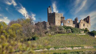 A historic stone castle with ruins, surrounded by trees and vineyards.