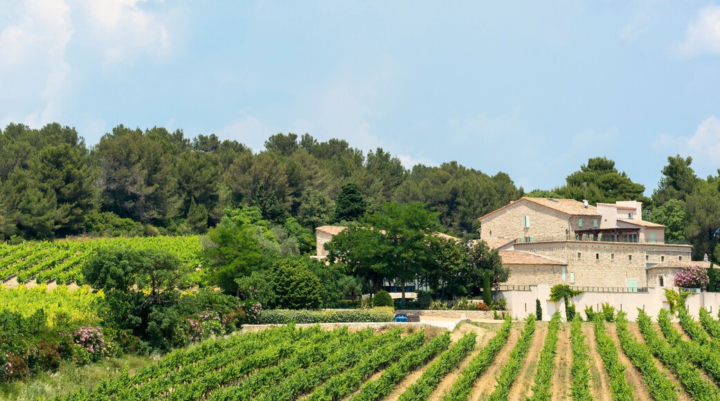 Farm in Herault (France)