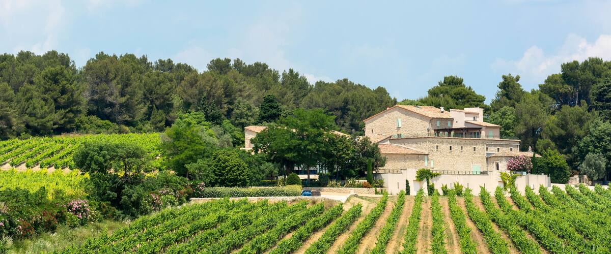 A vineyard with rows of grapevines, a stone building, and a forested hill in the background.