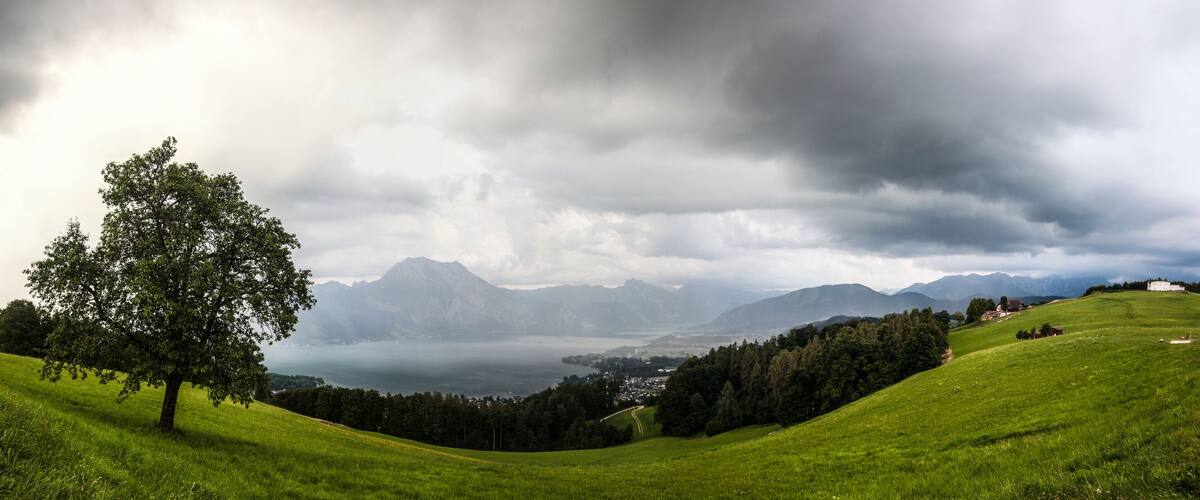 A lush green hillside with a prominent tree, distant mountains, and a small settlement.