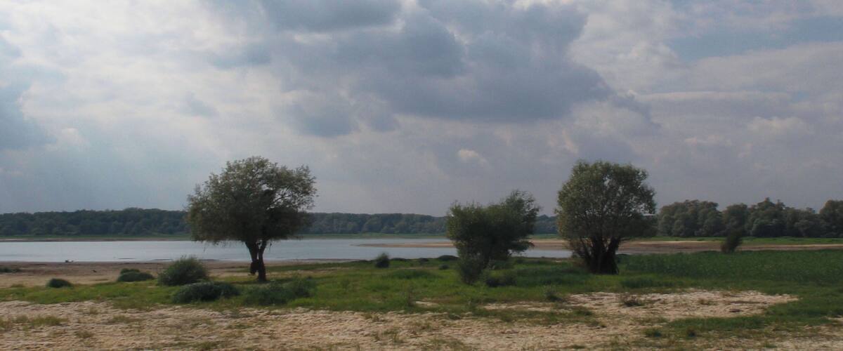 A river with trees and a cloudy sky.